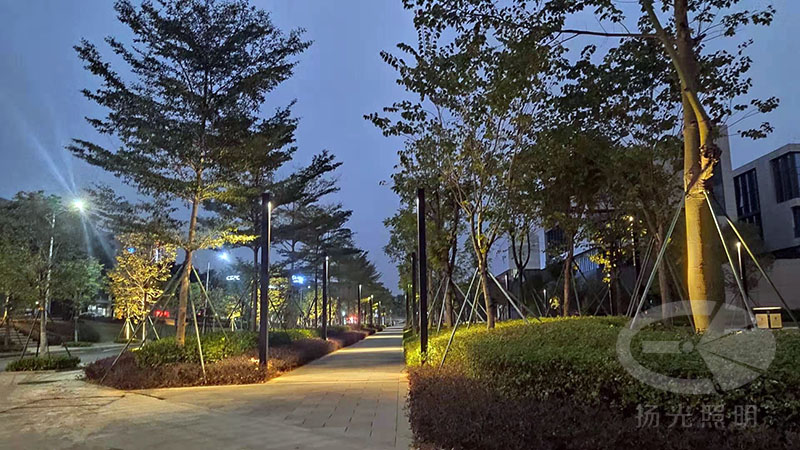 東莞中集智穀產業園景觀照（zhào）明工程夜景圖