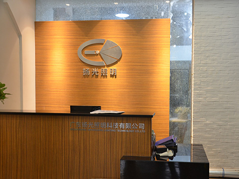 廣東叼嘿视频免费观看（guāng）照明宣傳片